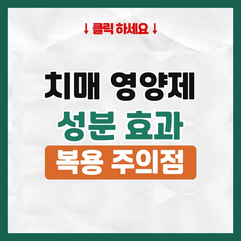 치매영양제